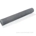 Hot DIP Galvanized Hexagonal Wire Cloth